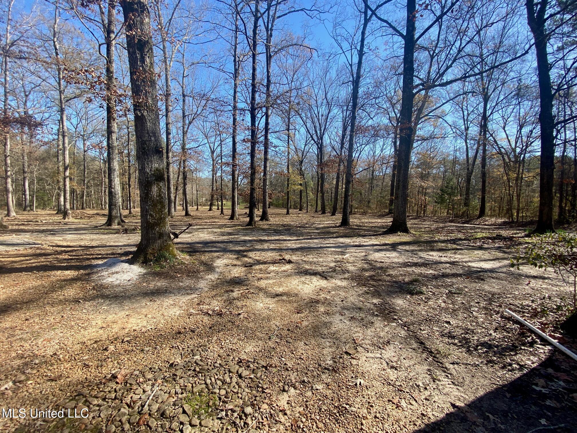 1073 Star Road Brandon, MS 39042 - Photo 13 of 41 IMG_8764