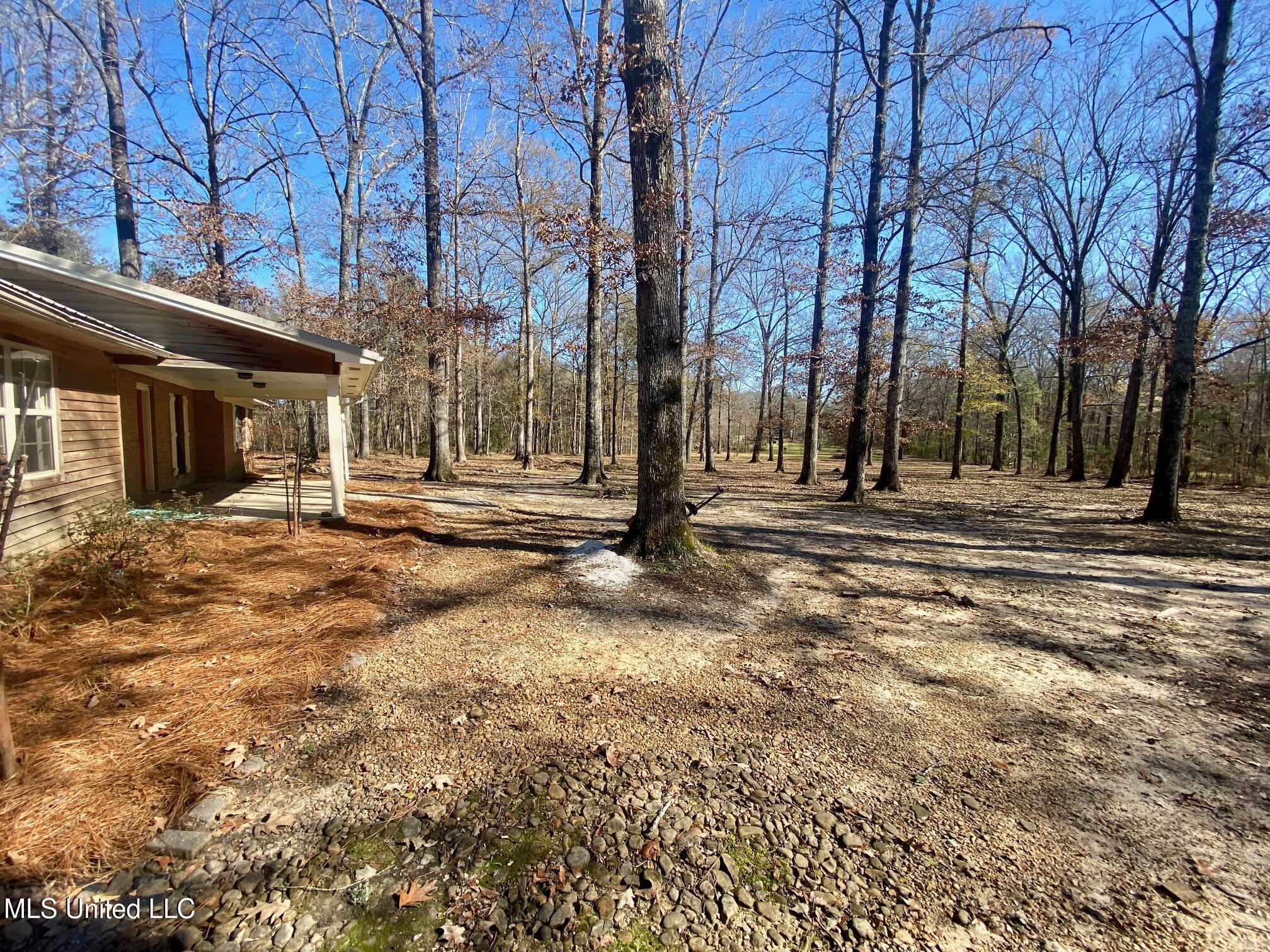 1073 Star Road Brandon, MS 39042 - Photo 14 of 41 IMG_8765