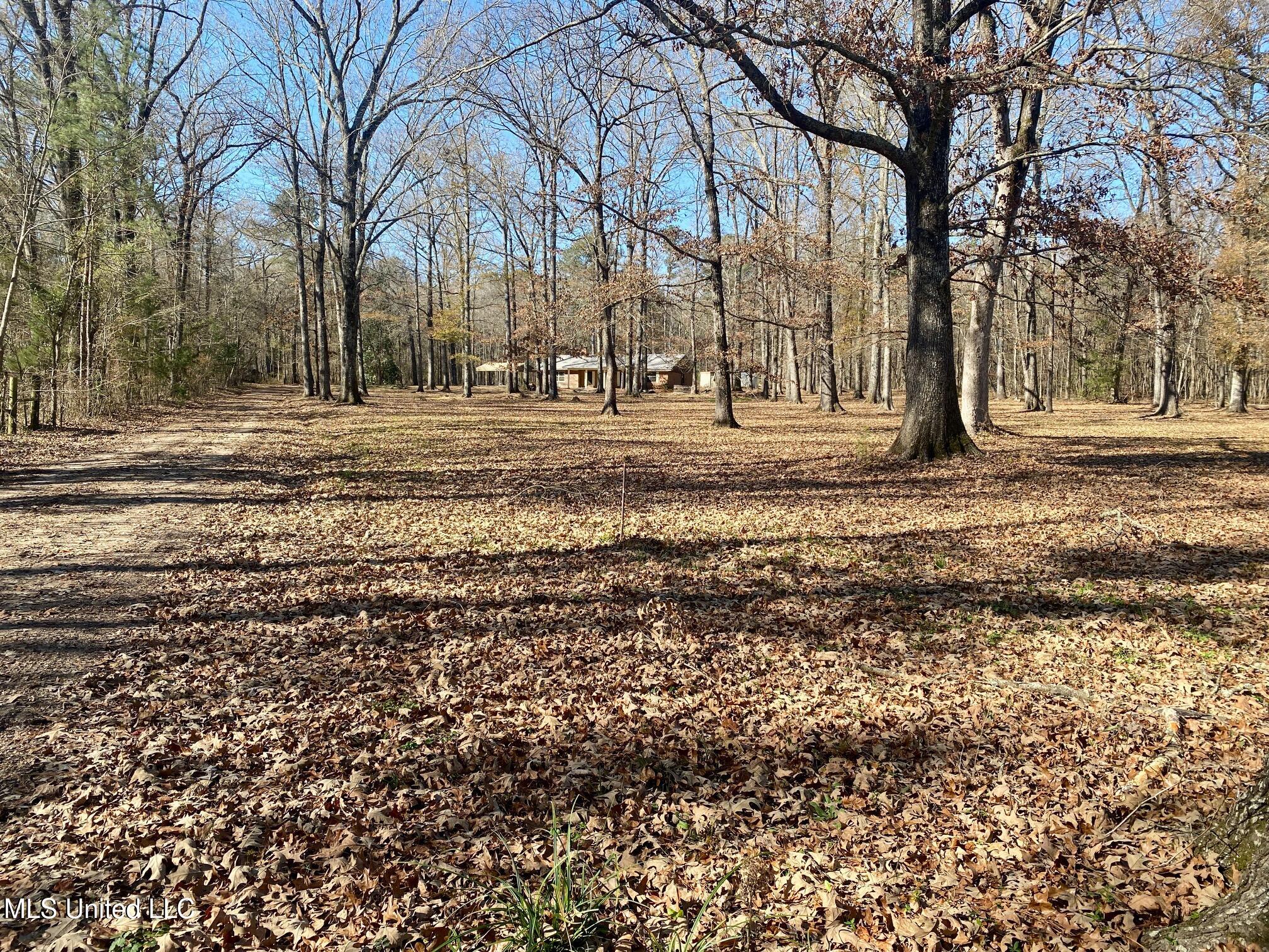 1073 Star Road Brandon, MS 39042 - Photo 17 of 41 IMG_8768