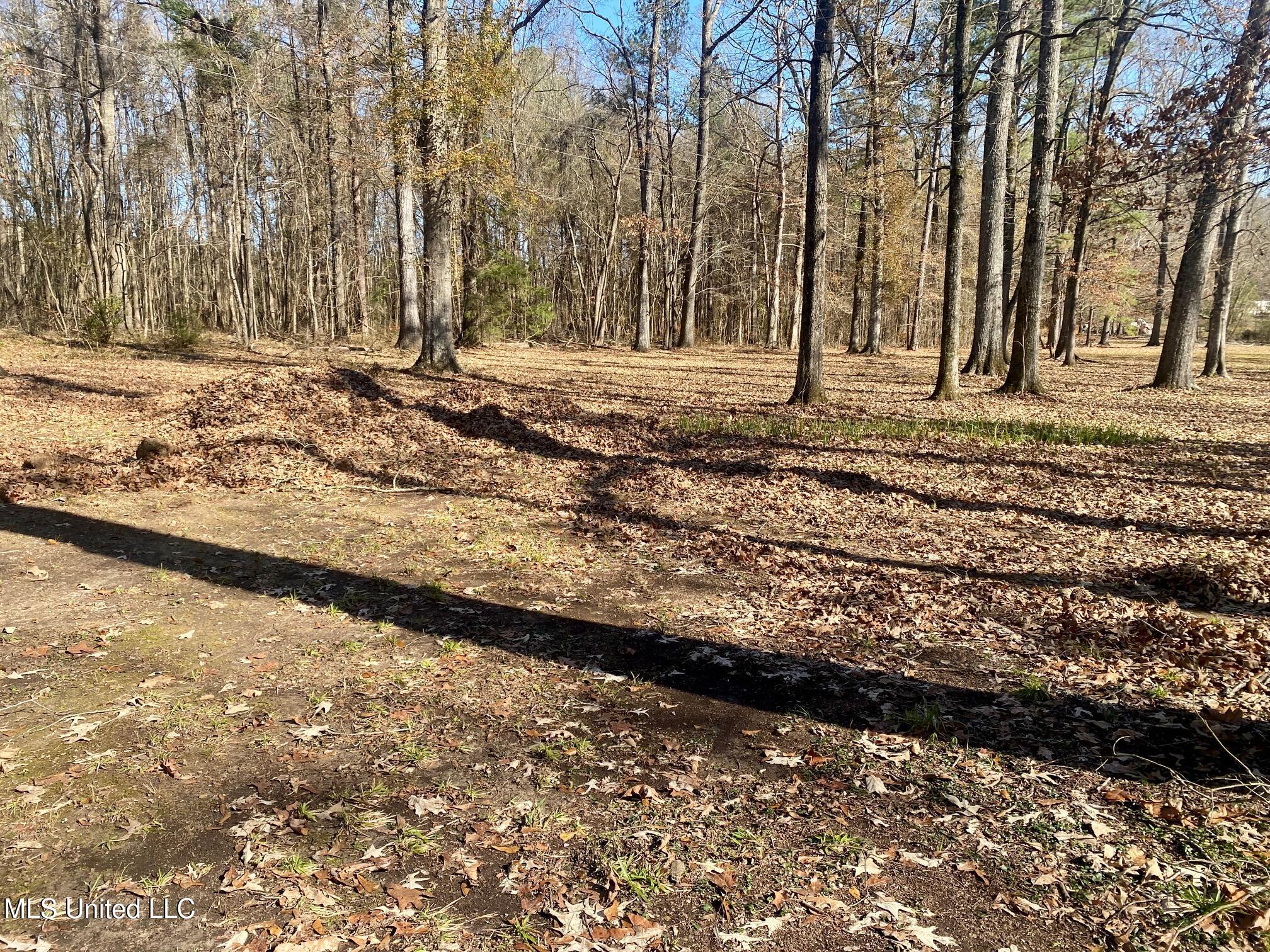 1073 Star Road Brandon, MS 39042 - Photo 5 of 41 IMG_8754
