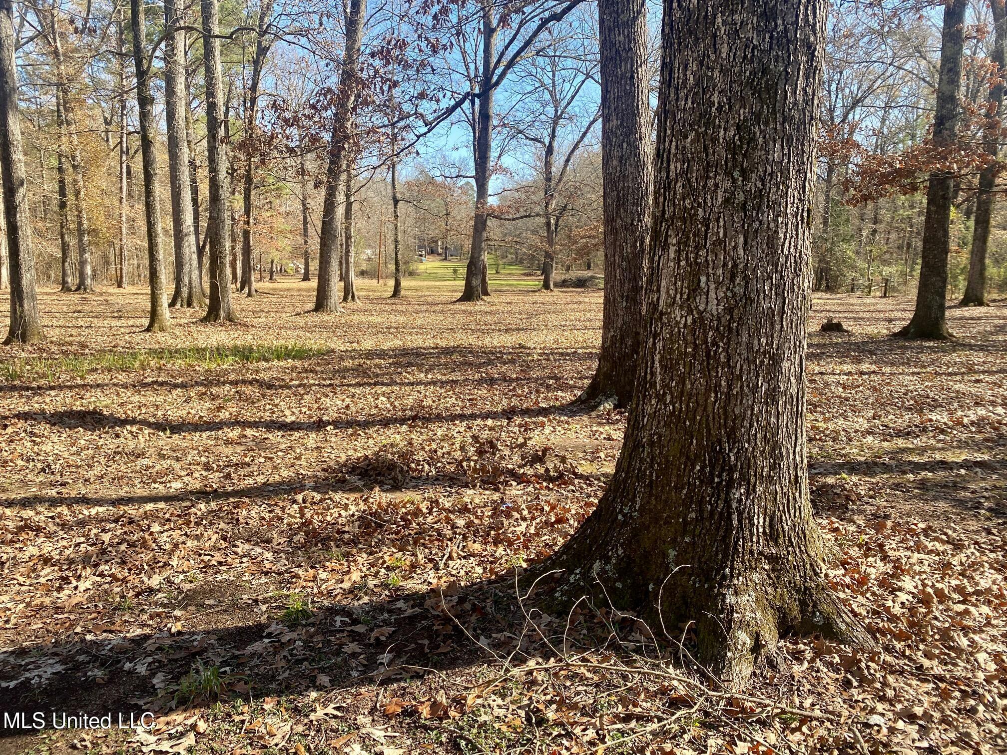 1073 Star Road Brandon, MS 39042 - Photo 6 of 41 IMG_8755