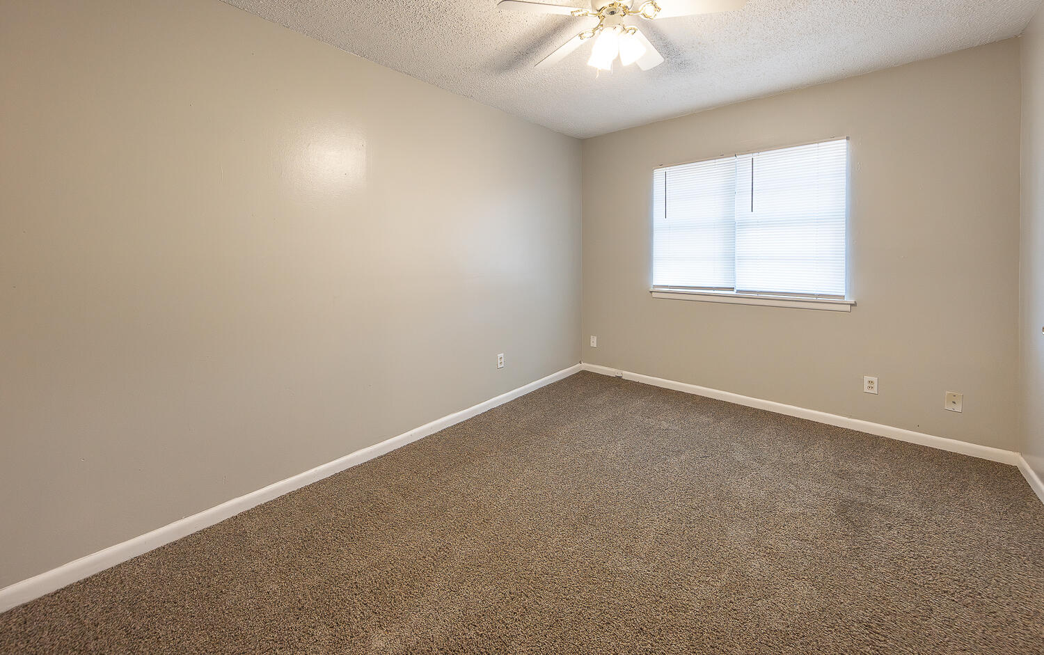 5005 39th Street Lubbock, TX 79414 - Photo 12 of 23 2L9A1556