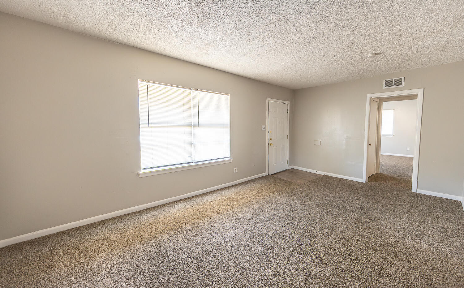 5005 39th Street Lubbock, TX 79414 - Photo 5 of 23 2L9A1508