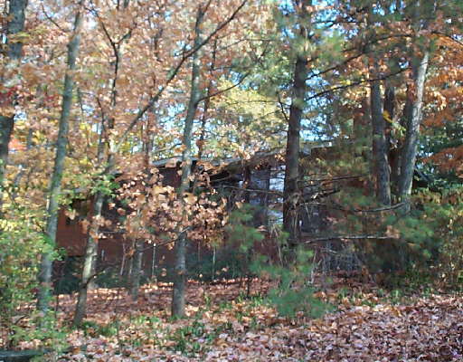 Primary Photo