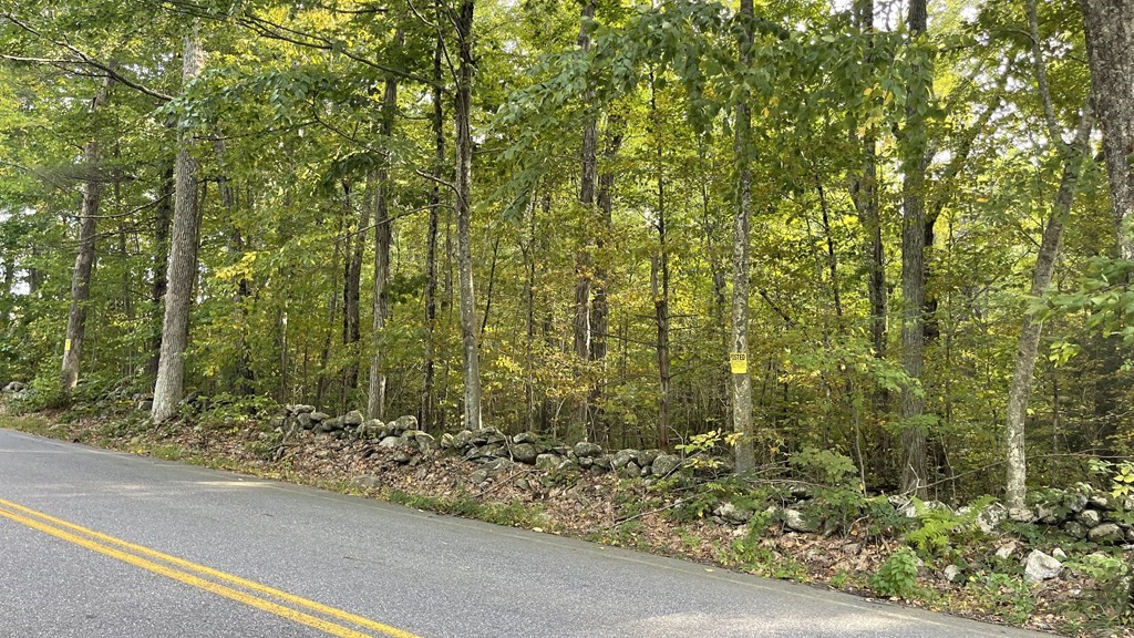 Lot 2 Thompson Pond Road Spencer, MA 01562 - Photo 10 of 14 Gallery Image 10