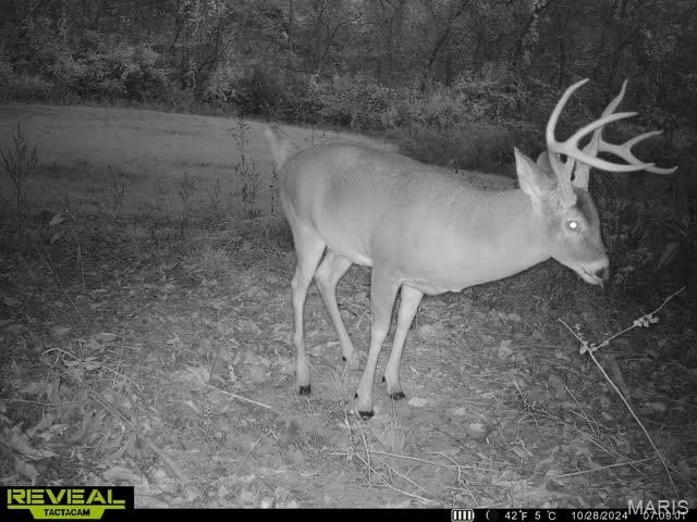 17816 Powerline Road Grafton, IL 62037 - Photo 49 of 50