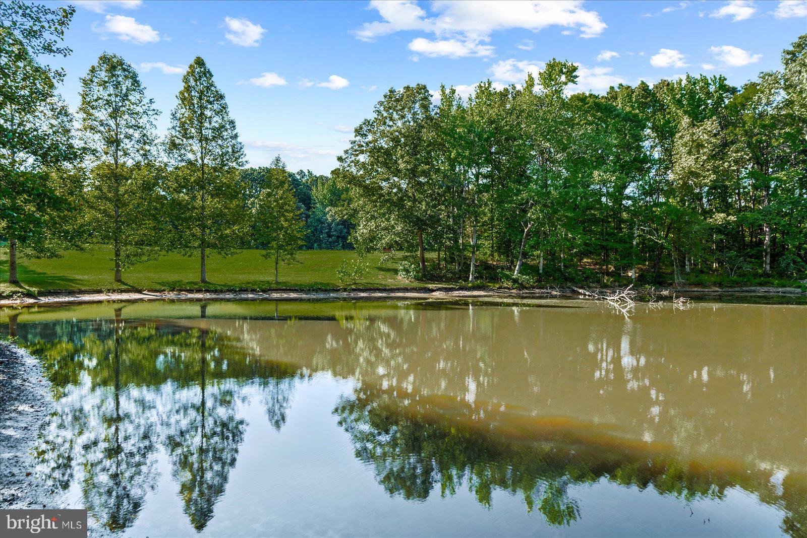 2510 Broad St Road Gum Spring, VA 23065 - Photo 40 of 61