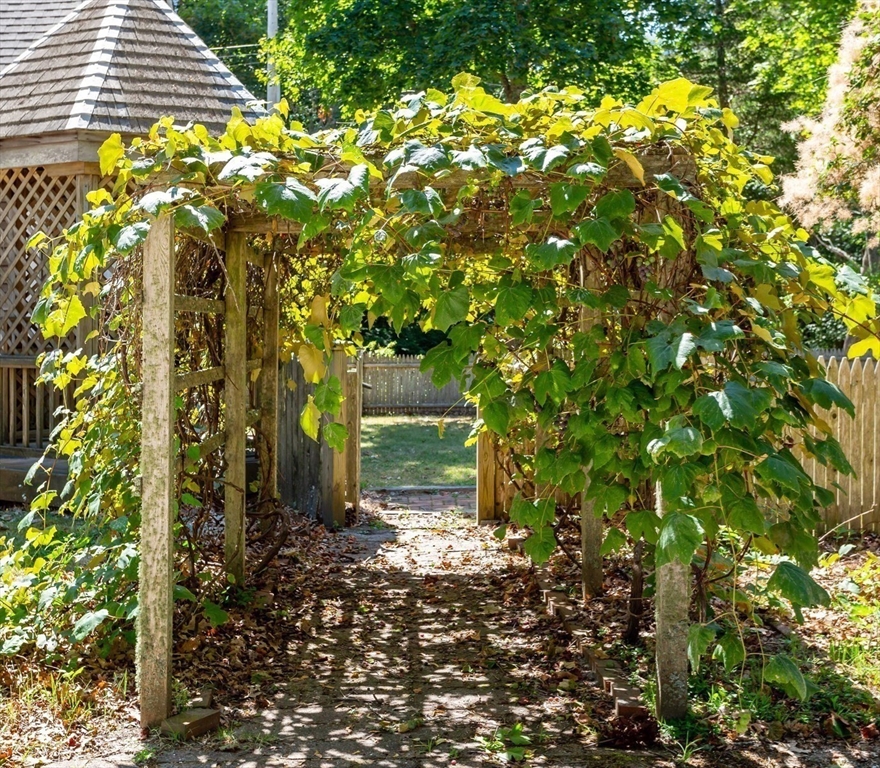 a backyard of a house with lots of plants and large trees