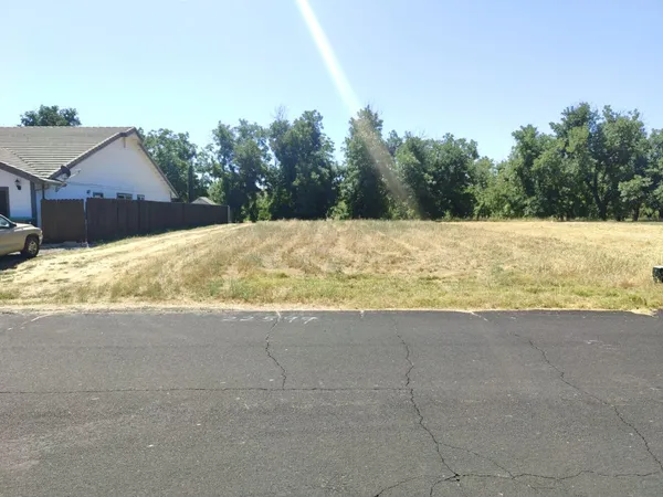 a view of back yard of the house