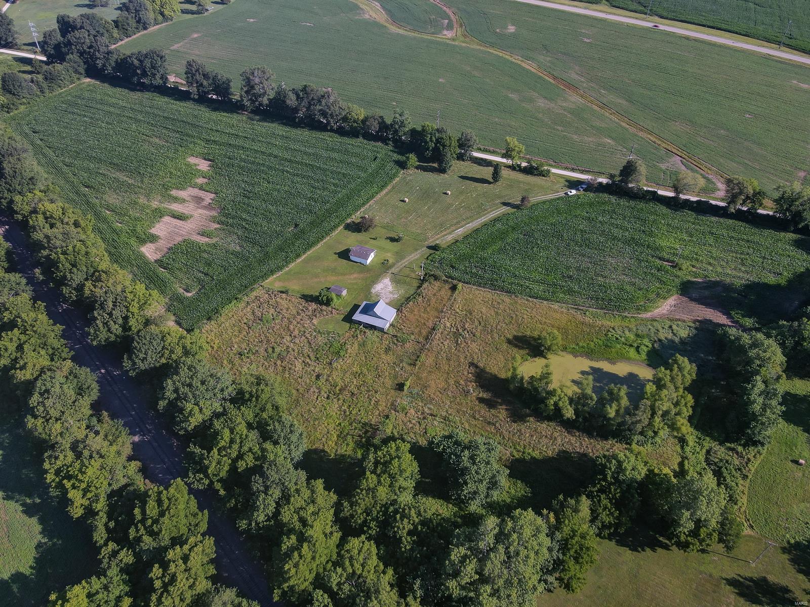9541 Lessley Road Sparta, IL 62286 - Photo 11 of 41