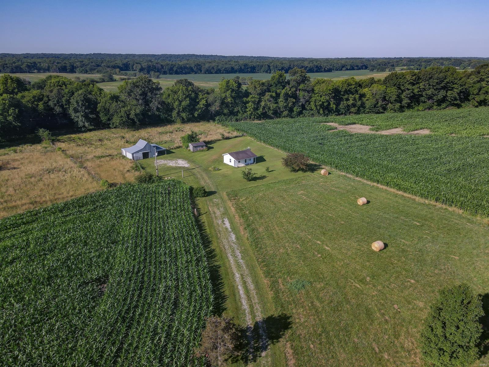 9541 Lessley Road Sparta, IL 62286 - Photo 4 of 41
