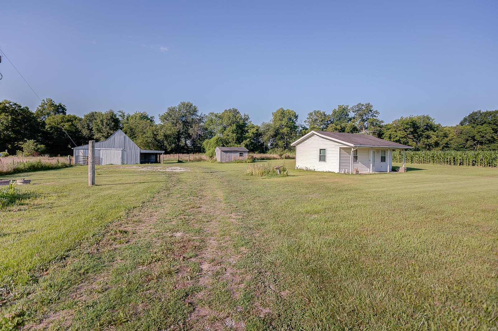 9541 Lessley Road Sparta, IL 62286 - Photo 6 of 41