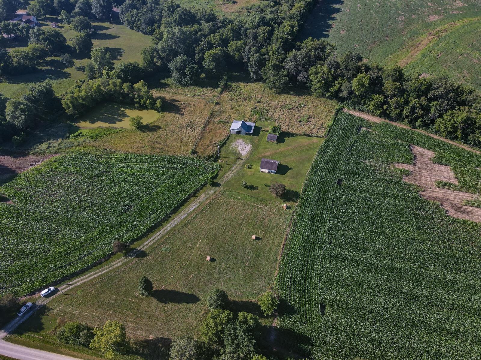 9541 Lessley Road Sparta, IL 62286 - Photo 8 of 41