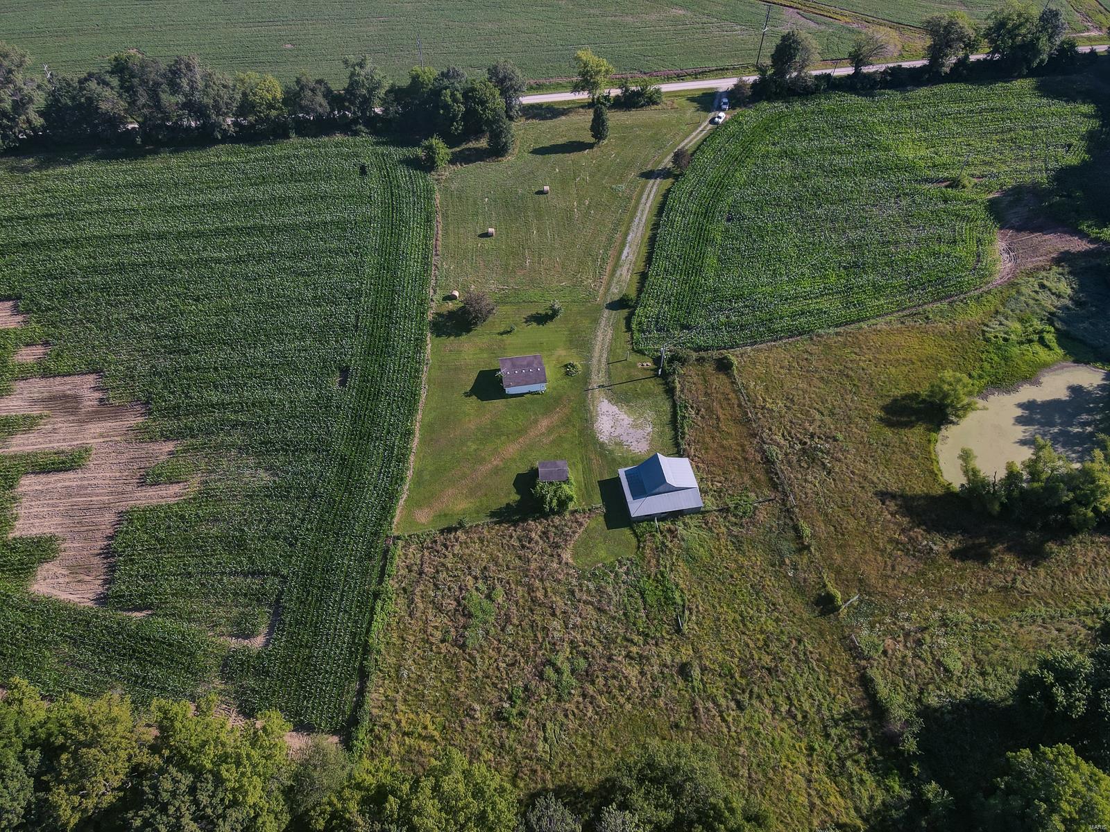 9541 Lessley Road Sparta, IL 62286 - Photo 9 of 41