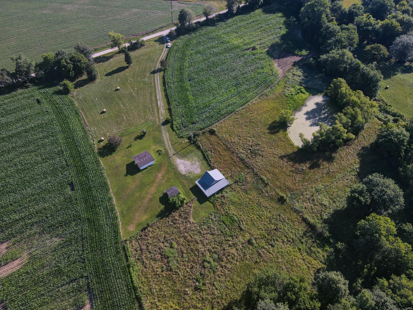 9541 Lessley Road Sparta, IL 62286 - Photo 10 of 41