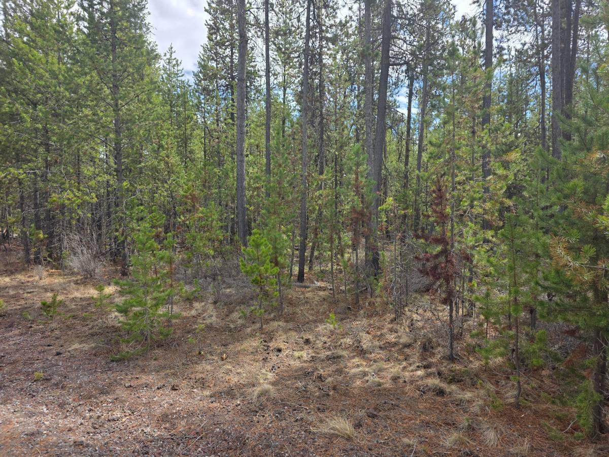 17109 Elsinore Road Bend, OR 97707 - Photo 8 of 14 4