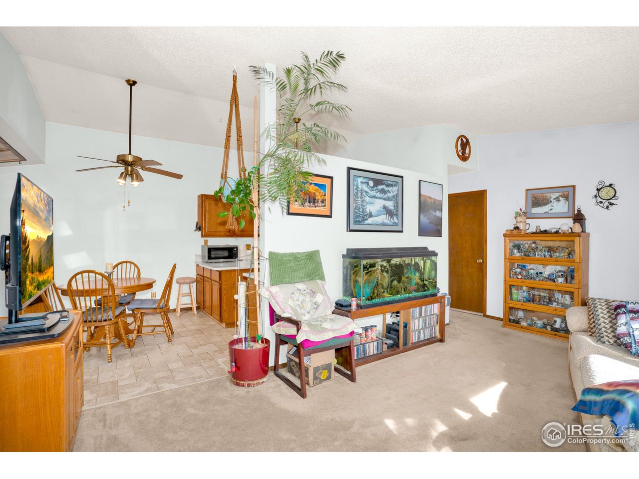 151 3rd Street Frederick, CO 80530 - Photo 6 of 45 a living room with furniture and a flat screen tv