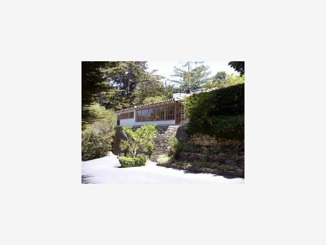 a picture of a person