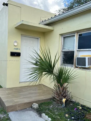 a potted plant in front of a door