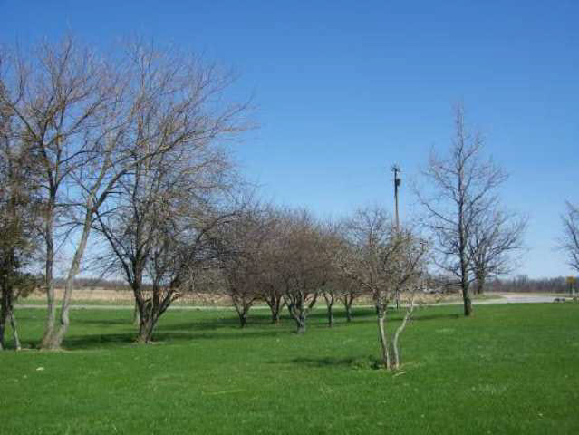 8042 West County Road Modoc, IN 47358 - Photo 9 of 9 Gallery Image 9