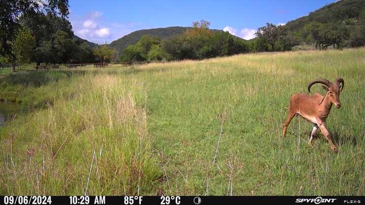 2242 Patterson Creek Road Leakey, TX 78873 - Photo 66 of 72 Gallery Image 66