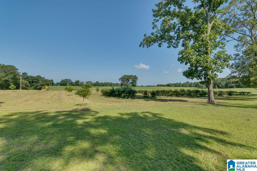 466 County Road 368 Verbena, AL 36091 - Photo 36 of 41
