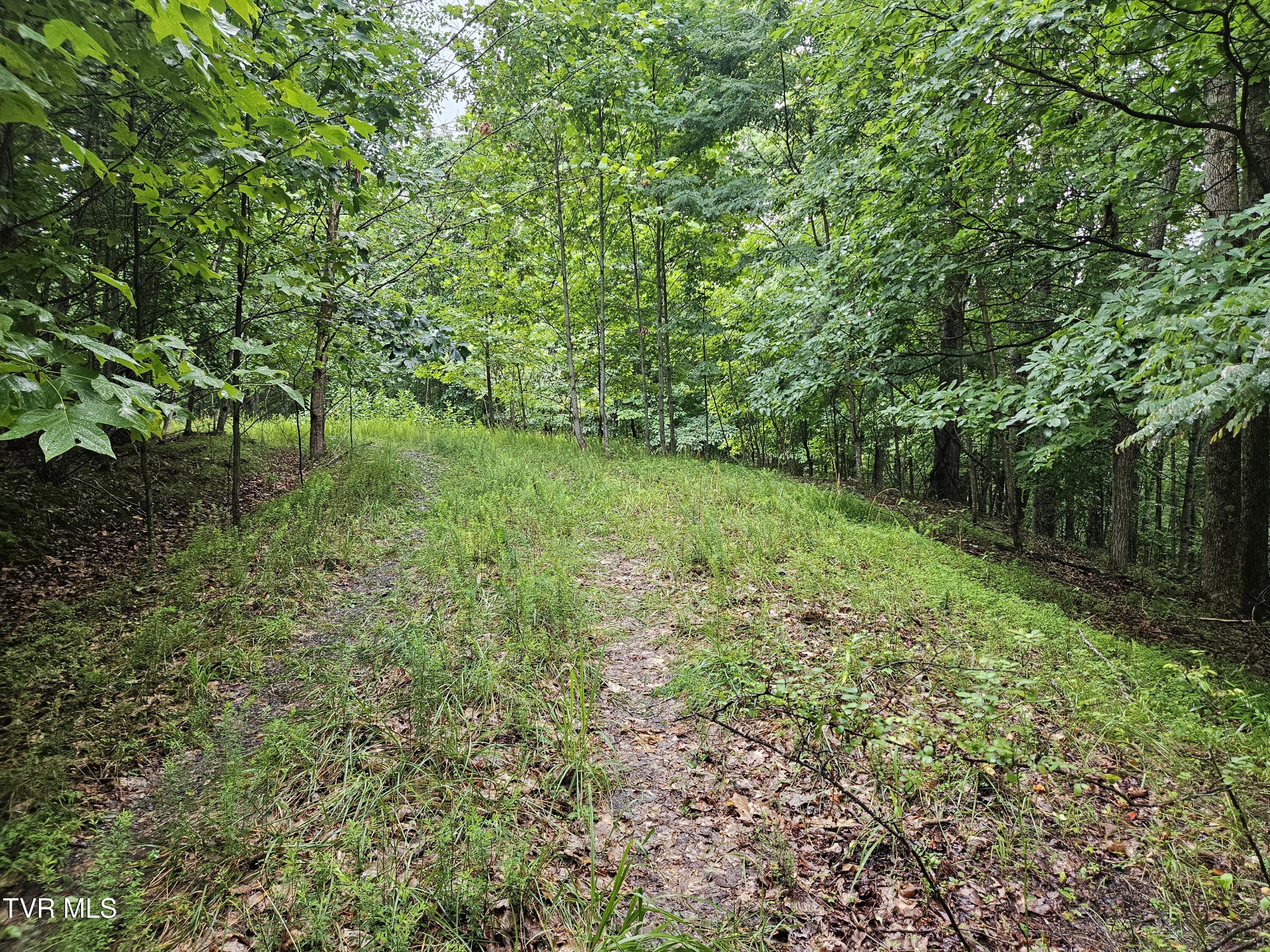 Tbd Jaybird Branch Road Coeburn, VA 24230 - Photo 8 of 16 20260722_180410
