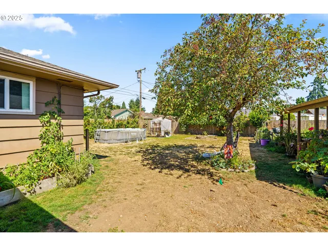 a view of a yard with plants