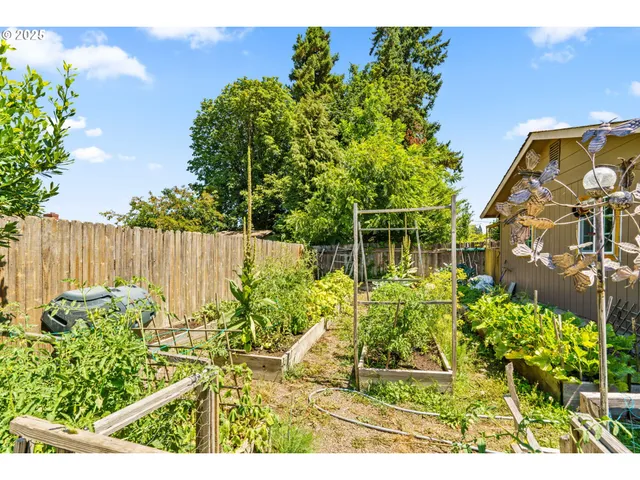 a view of yard with green space