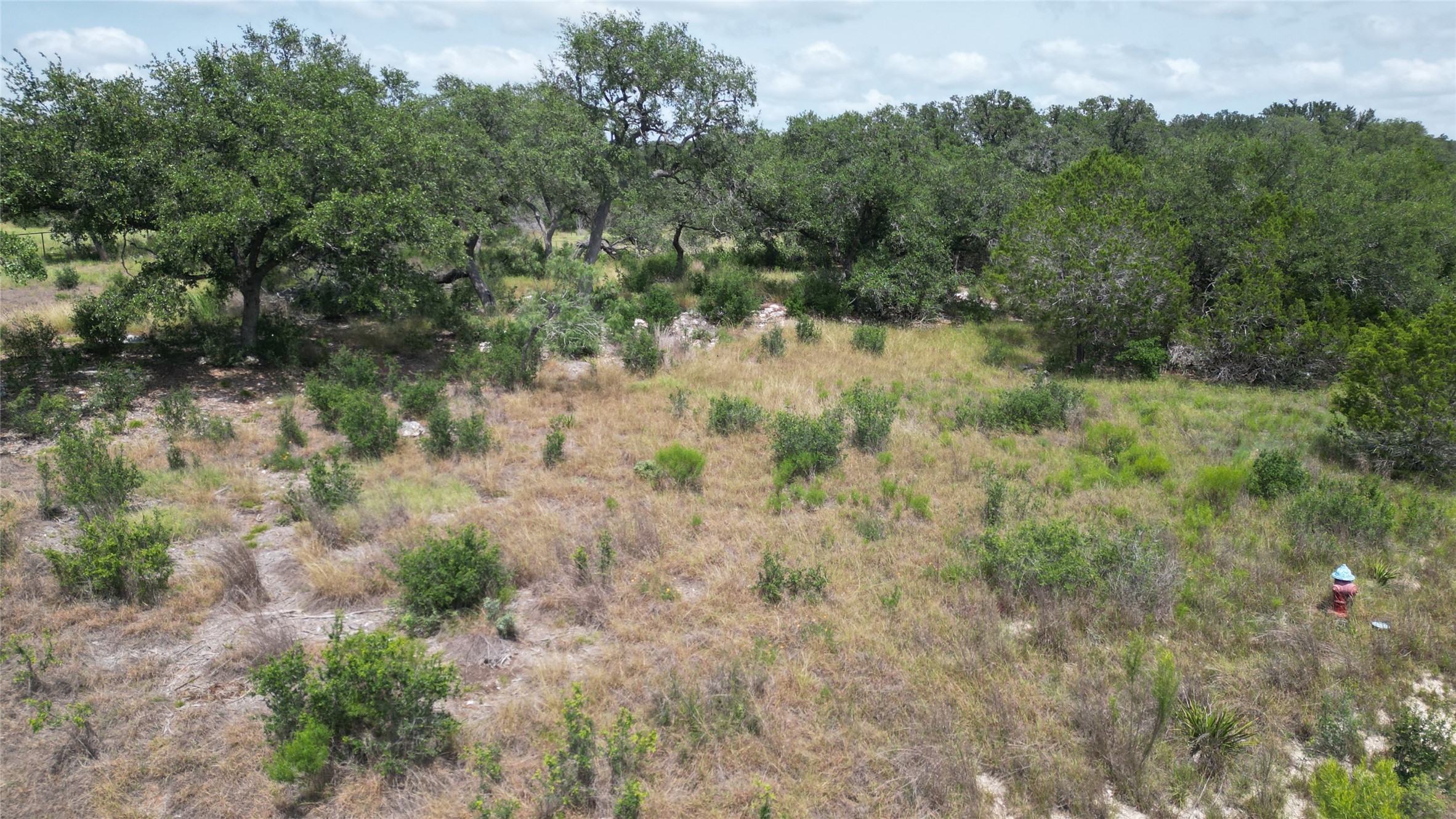 336 River Cliff Place Spring Branch, TX 78070 - Photo 7 of 14