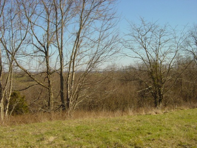 1339 Chaney Road Brooksville, KY 41004 - Photo 6 of 18 Gallery Image 6
