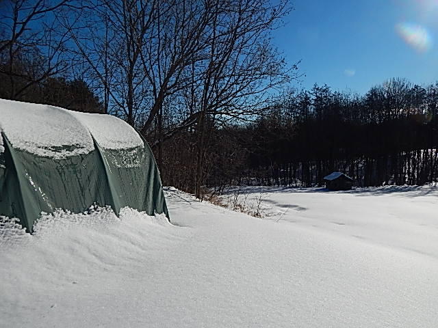 95 Main Road North Hampden, ME 04444 - Photo 8 of 44 8
