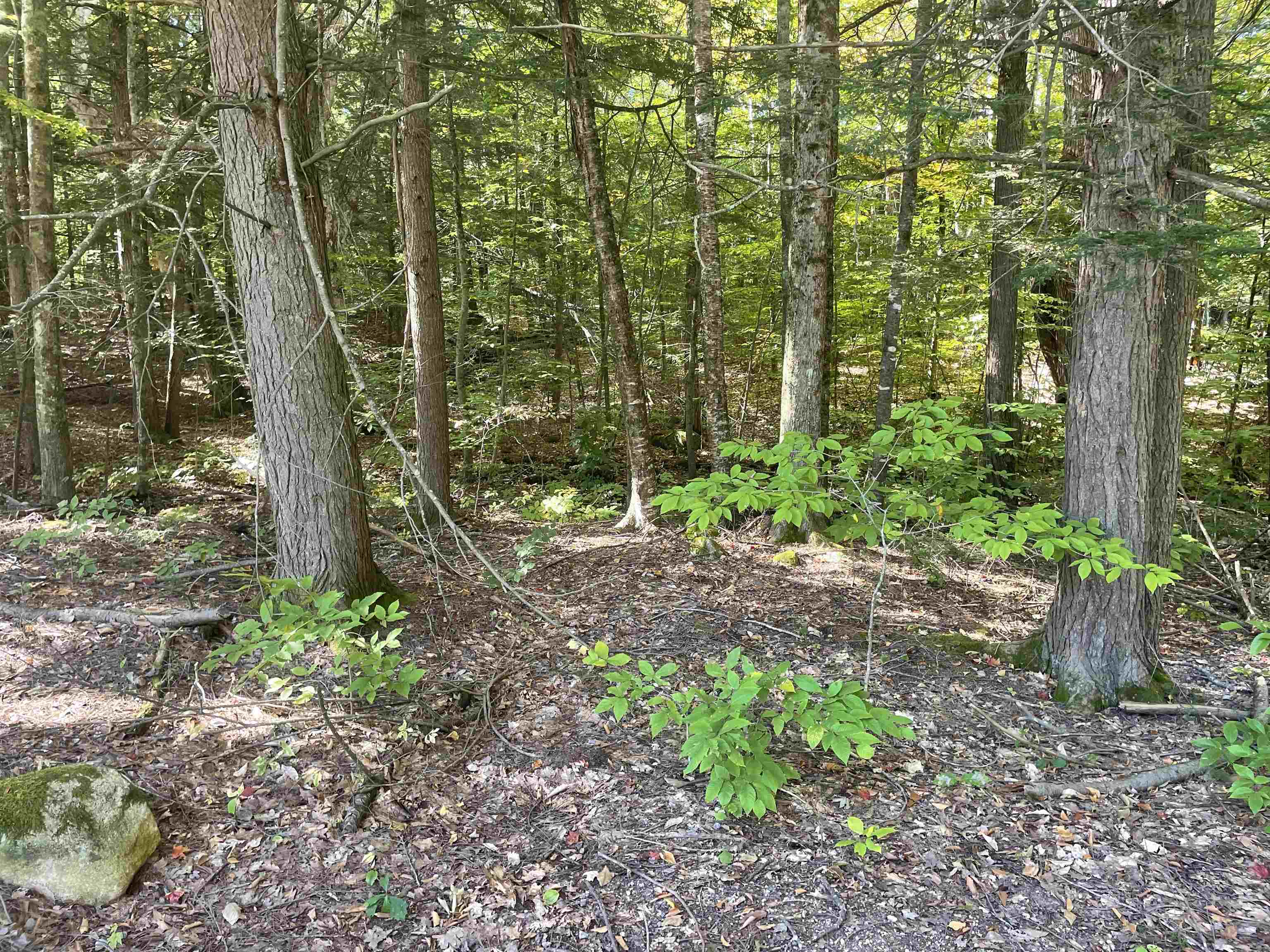 0 Karen Road Middleton, NH 03887 - Photo 3 of 4 Gallery Image 3