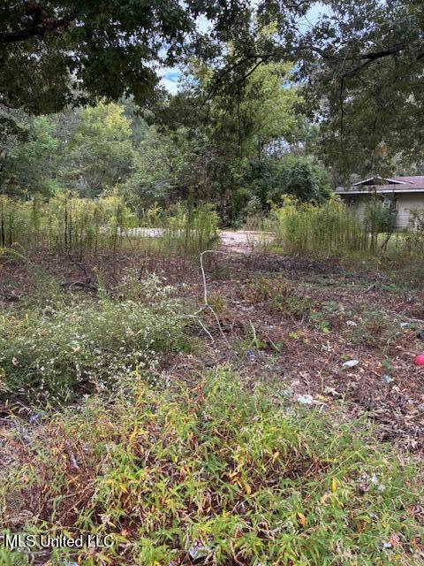 5505 Queen Mary Lane Jackson, MS 39209 - Photo 2 of 2 IMG_6523