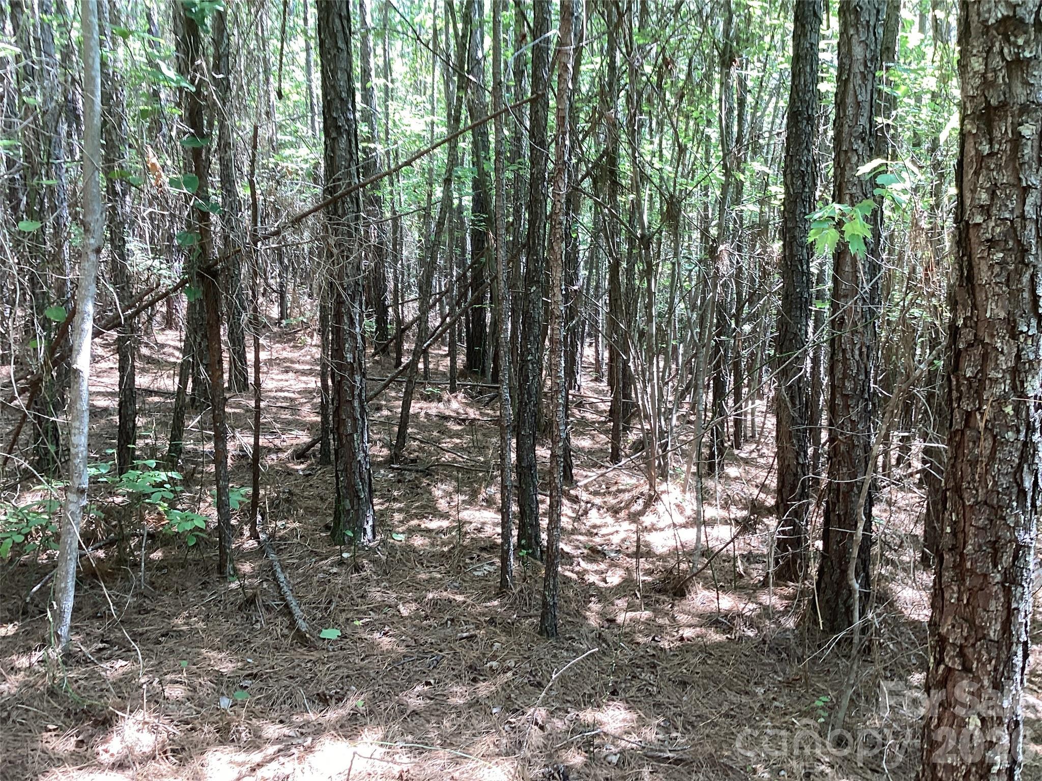0 Powell Road Mill Spring, NC 28756 - Photo 10 of 22