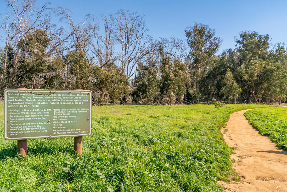 7286 Georgetown Road Goleta, CA 93117 - Photo 45 of 50 Ellwood Butterfly Reserve