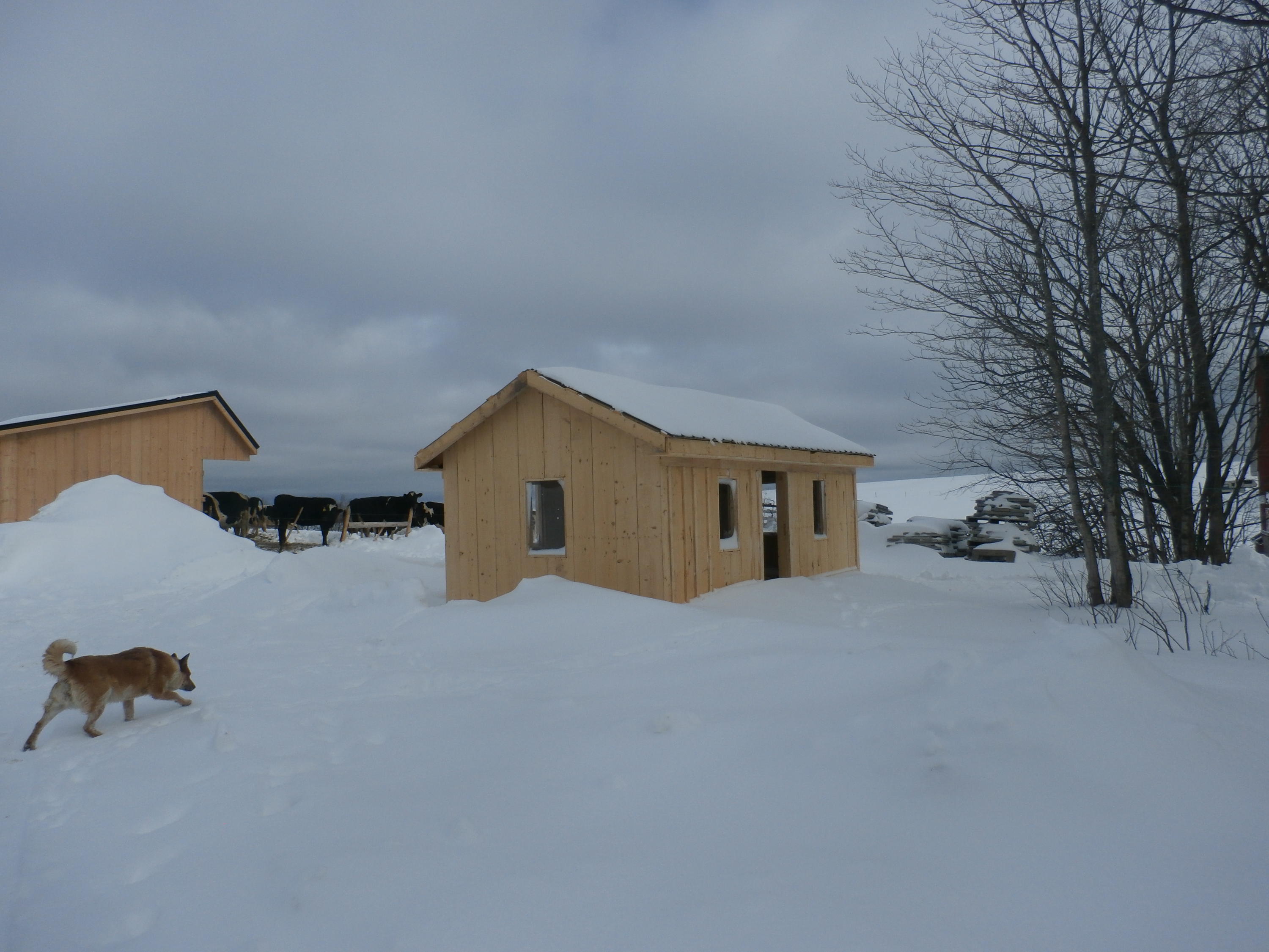 78 Blackstone Road Perham, ME 04766 - Photo 20 of 44 P2052130