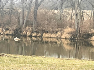 3669 East 25th Road Sheridan, IL 60551 - Photo 5 of 7 a view of outdoor space with swimming pool