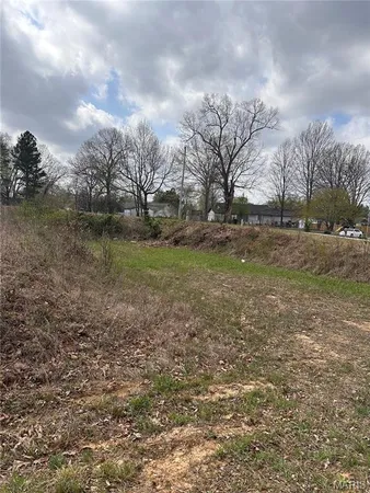 $29,999 | 0 Stucker Lane, Poplar Bluff, MO 63901