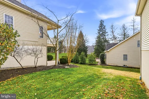 a view of a backyard with potted plants and large tree