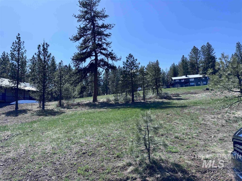 Lot 19 Hot Springs Road New Meadows, ID 83654 - Photo 28 of 28