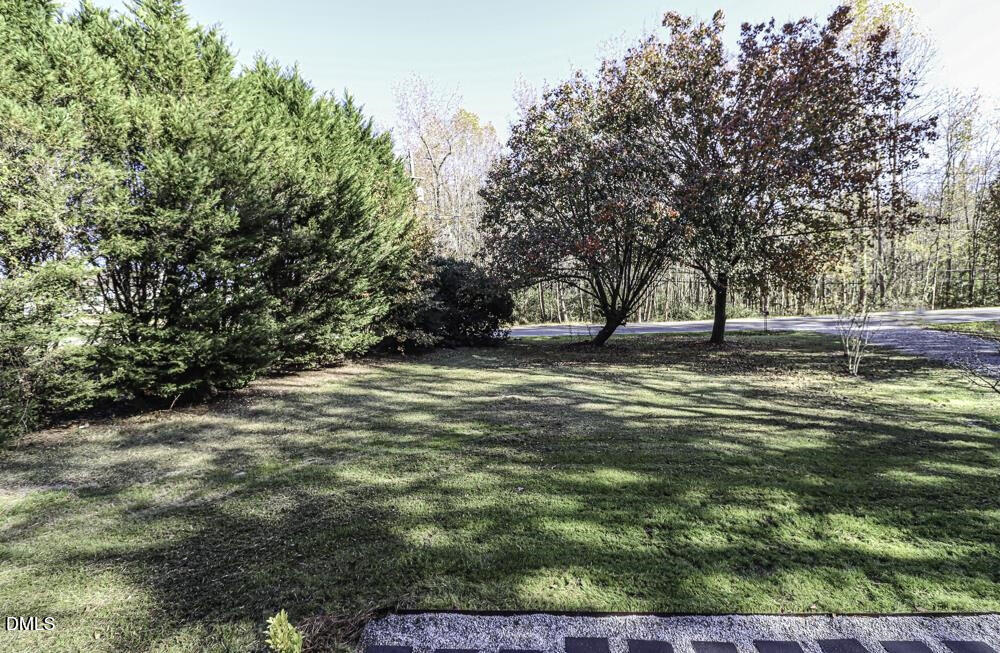 805 River Road Selma, NC 27576 - Photo 12 of 40 a view of large trees with a yard