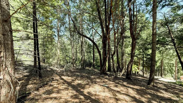 $29,000 | 18910 Circle View Drive, Pioneer, CA 95666