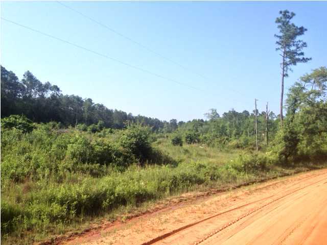 Vacant Shockley Springs Road Baker, FL 32531 - Photo 1 of 1 a view of a yard with a tree