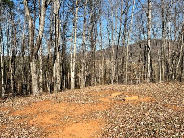 7201 Sontag Road Rocky Mount, VA 24151 - Photo 6 of 21 IMG_3237