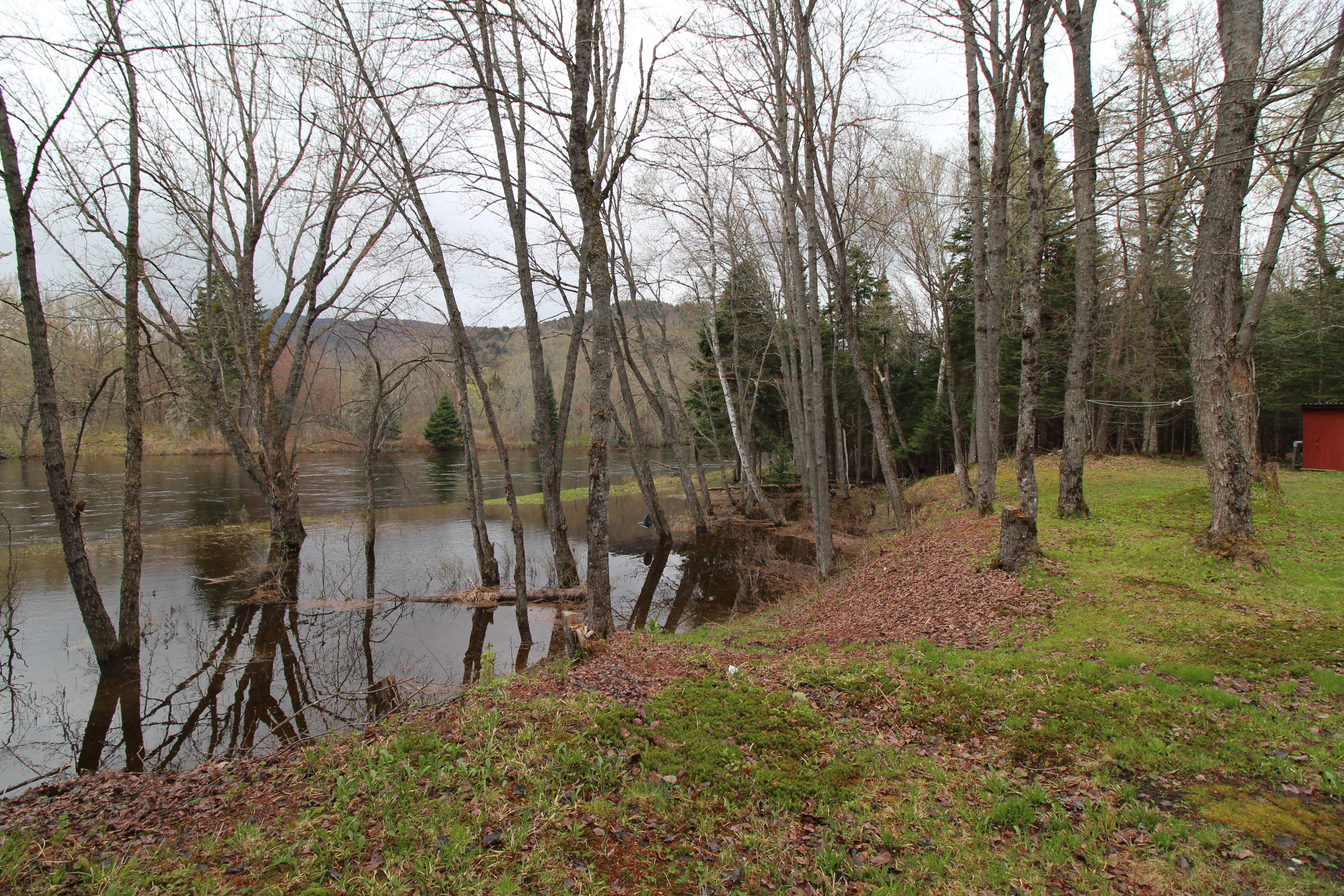 Lot 1 Cross Road Andover, ME 04216 - Photo 26 of 28 IMG_1325