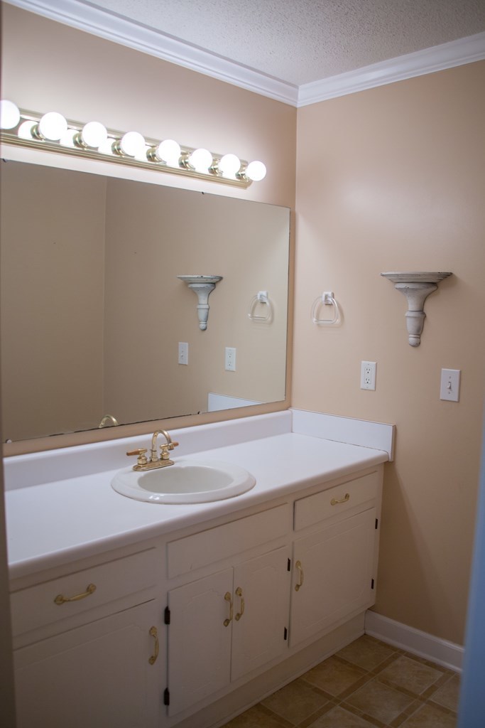 414 Homer Roberts Road Gray, GA 31032 - Photo 12 of 33 a bathroom with a sink and a mirror