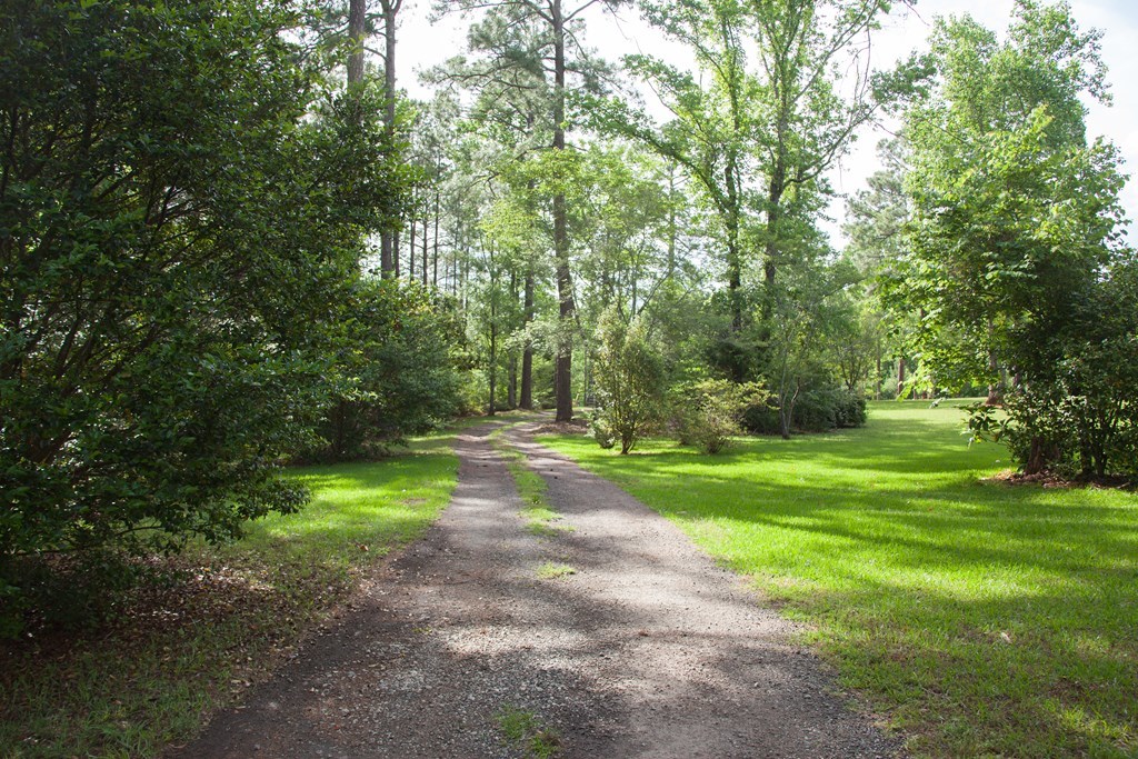414 Homer Roberts Road Gray, GA 31032 - Photo 26 of 33 a view of a trees with a yard