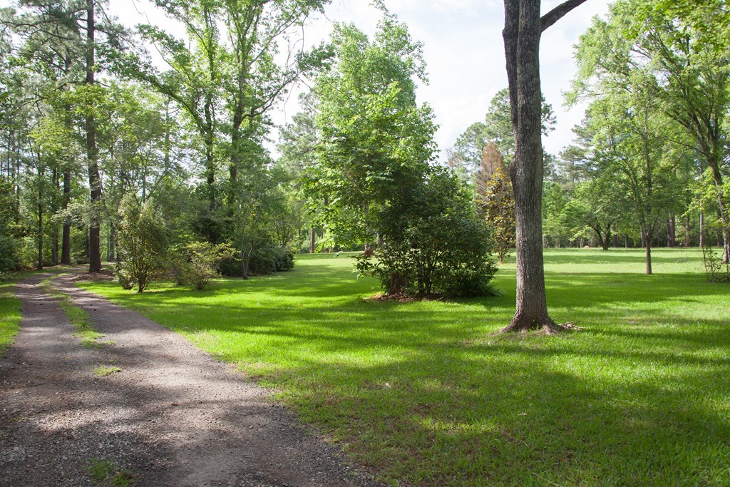 414 Homer Roberts Road Gray, GA 31032 - Photo 27 of 33 a view of a park with a tree in the background
