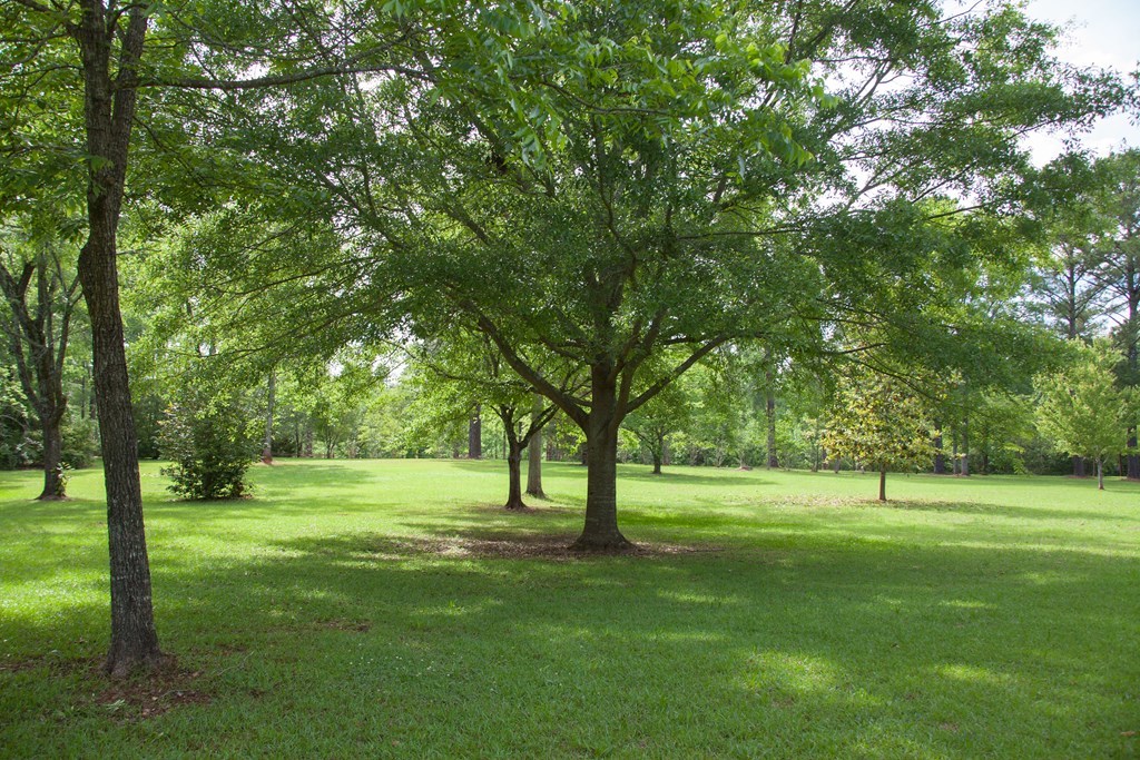 414 Homer Roberts Road Gray, GA 31032 - Photo 29 of 33 a view of a trees in a park